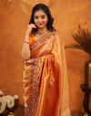 Orange Silk Woven Embroidery Stone Work Banarasi Saree